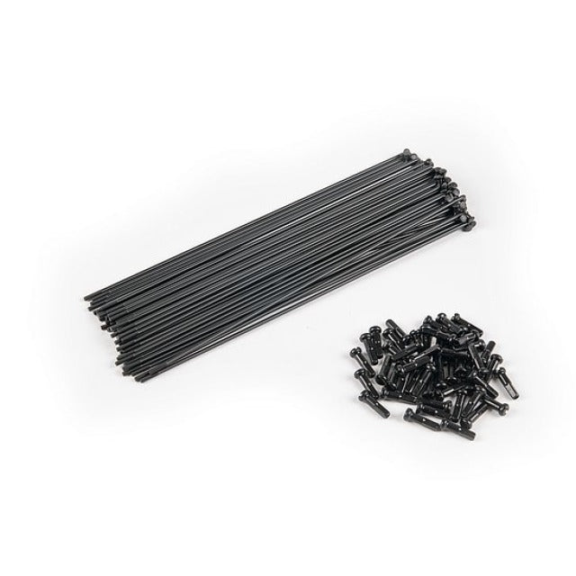 Eclat PG Spokes