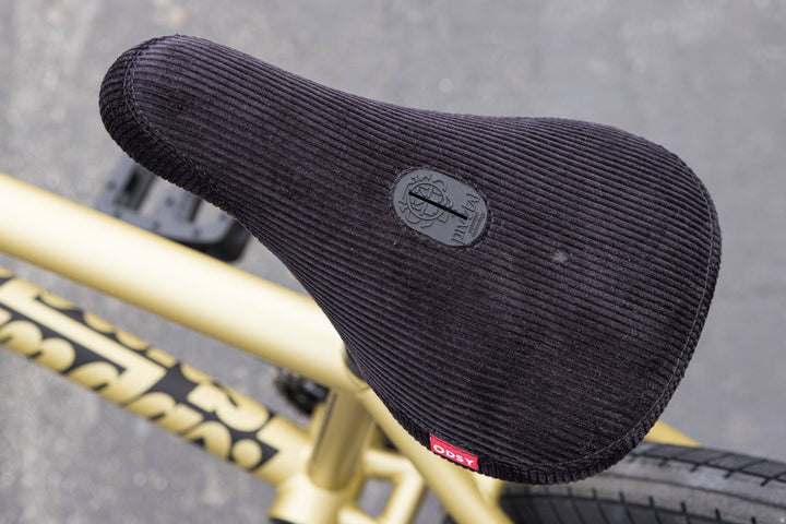 Sunday Forecaster Broc Raiford Signature