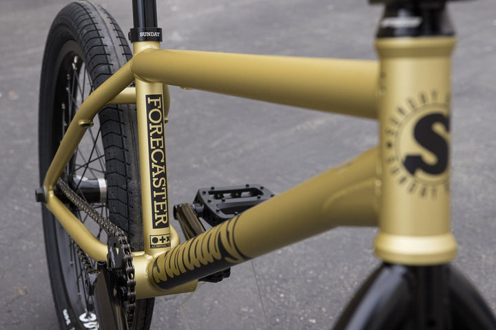 Sunday Forecaster Broc Raiford Signature