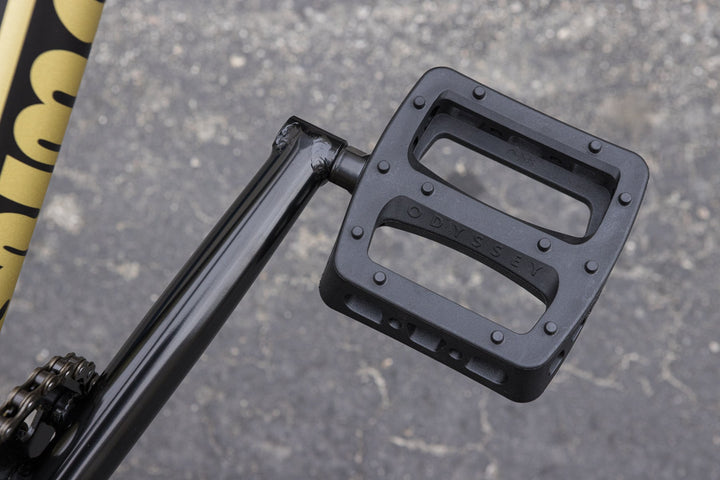 Sunday Forecaster Broc Raiford Signature