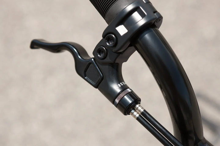 Sunday Forecaster Park Maca Perez Grasset Signature