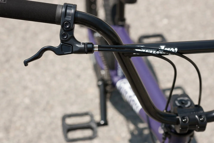 Sunday Forecaster Park Maca Perez Grasset Signature