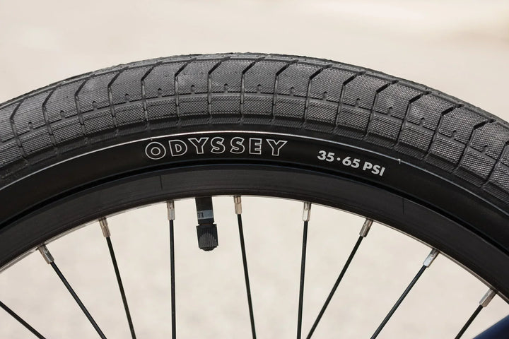 Sunday Forecaster Park Maca Perez Grasset Signature