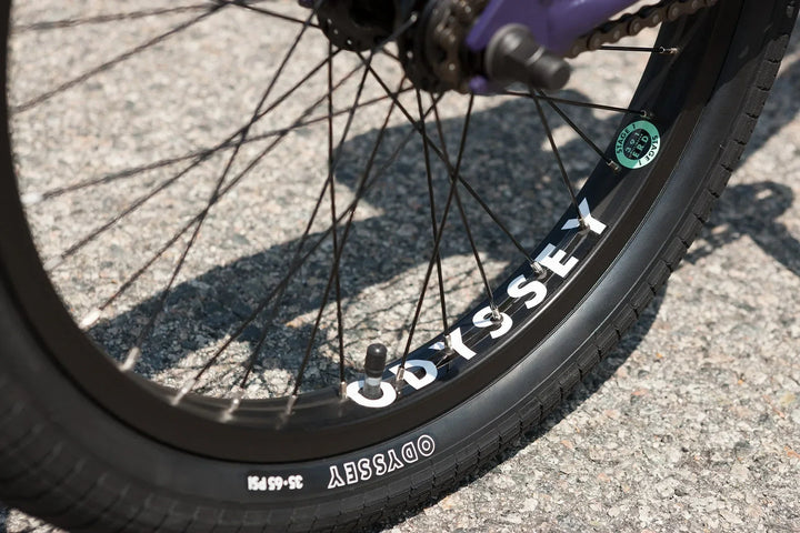 Sunday Forecaster Park Maca Perez Grasset Signature