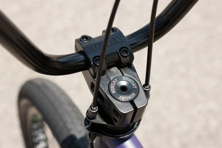 Sunday Forecaster Park Maca Perez Grasset Signature