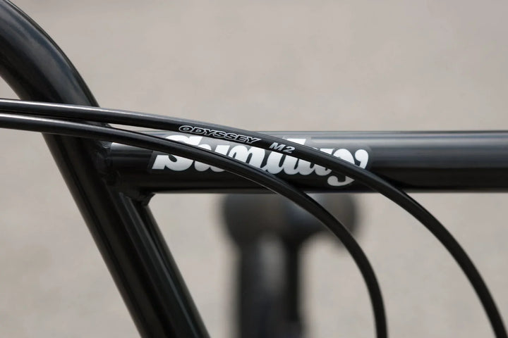 Sunday Forecaster Park Maca Perez Grasset Signature