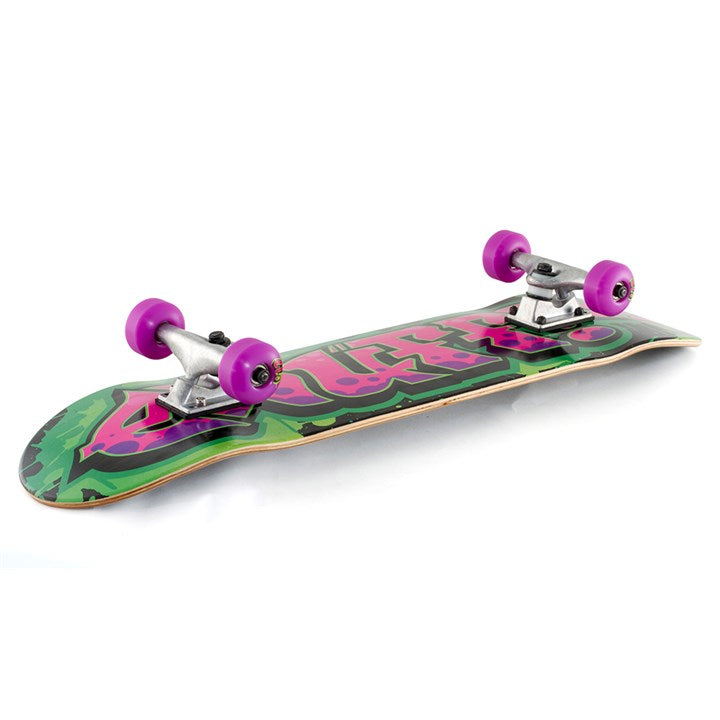 Complete Skateboards