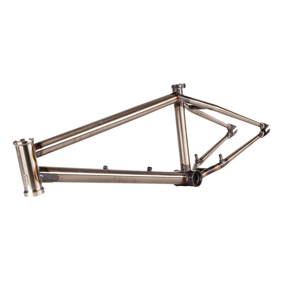 S&M Reynolds Sig CCR Frame Gloss Clear