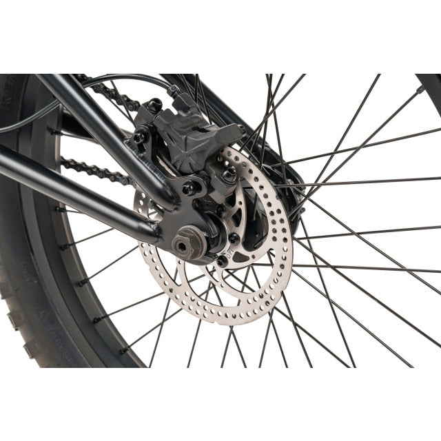 wethepeople 20" THE SWAMPMASTER Complete Bike