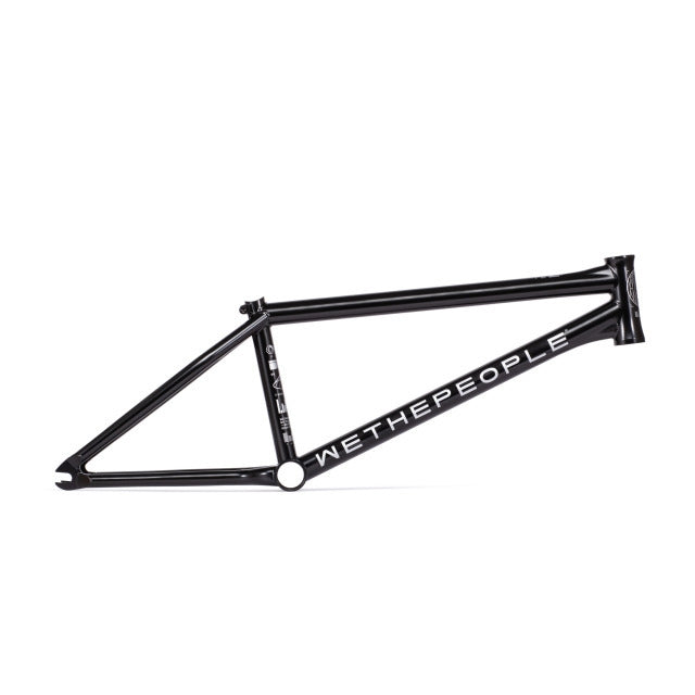 Wethepeople NETWORK frame