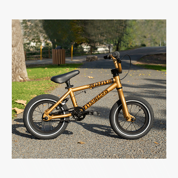 FIT Misfit 12" Cheetah 13" TT
