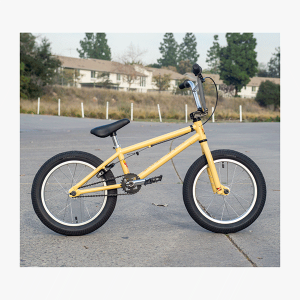 FIT Misfit 16" Bone 16.25" TT