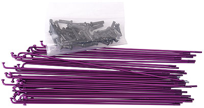 Ilegal Translucent Spokes