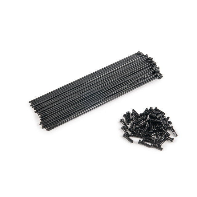 Eclat PG Spokes