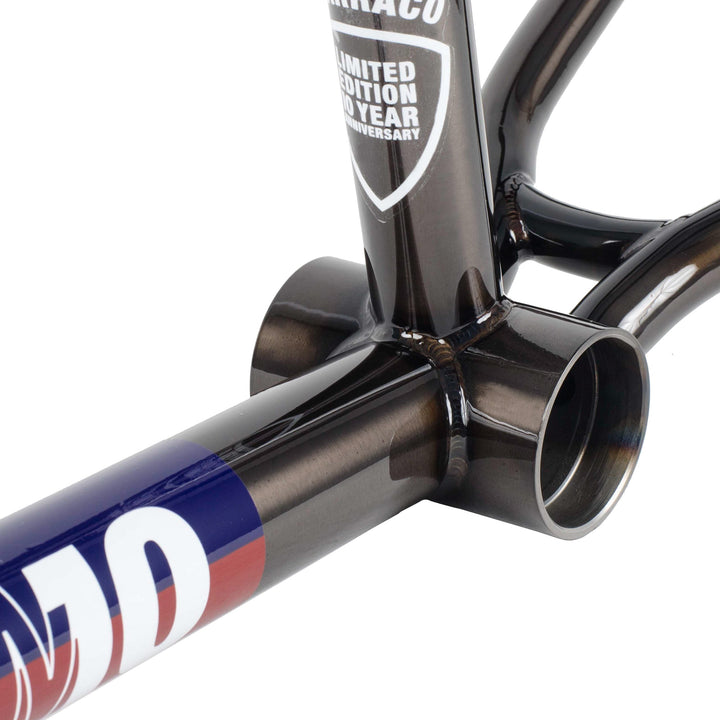Subrosa Simo 10 Year Frame Translucent Black