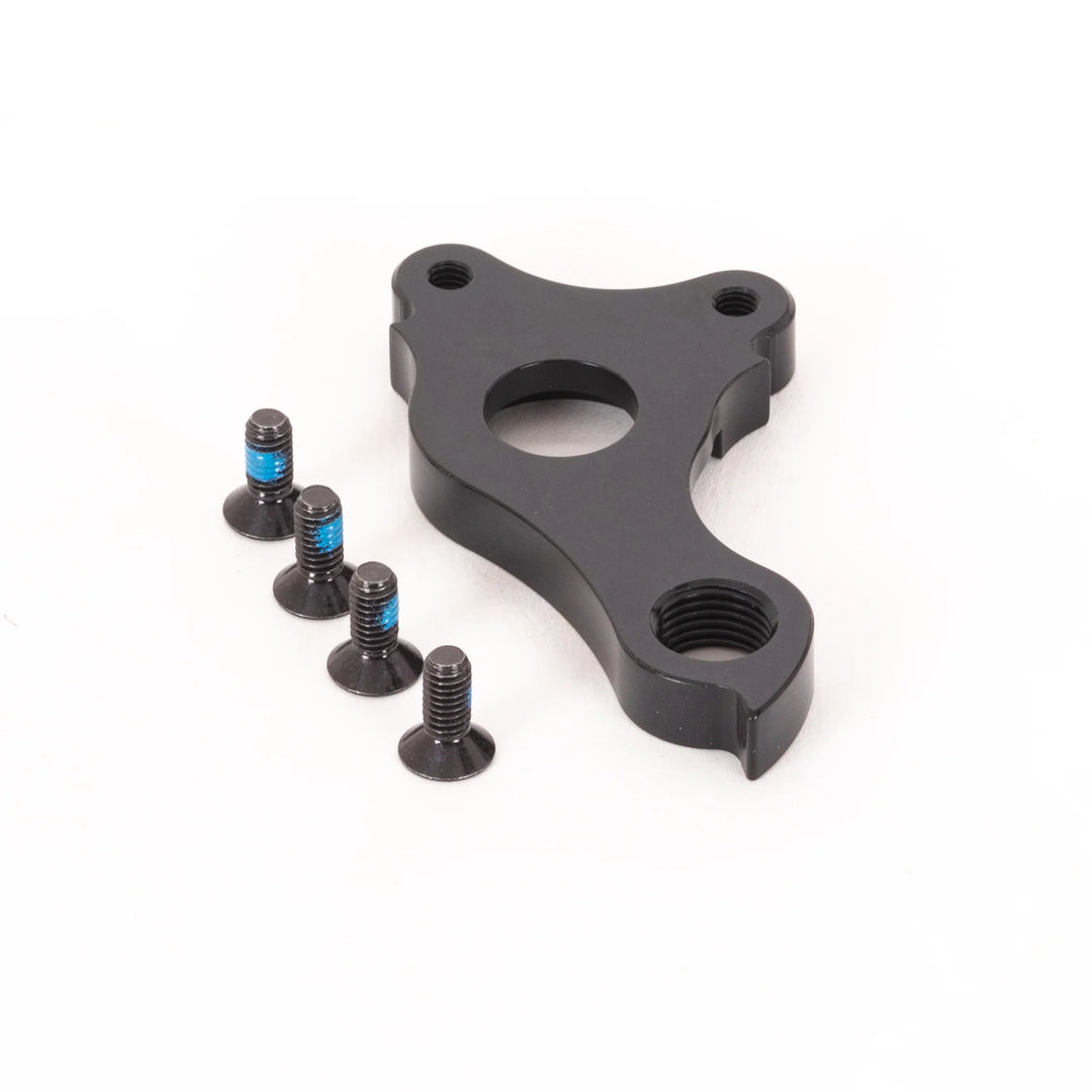 BT-DH-008 Derailleur Hanger