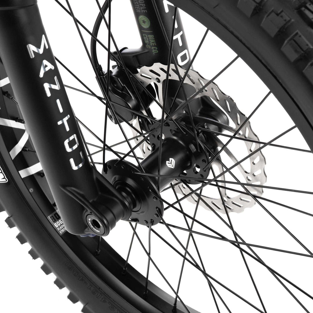 wethepeople 20" Swampmaster Bike