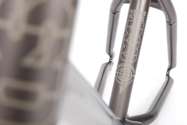 BSD Freedom Frame 2026