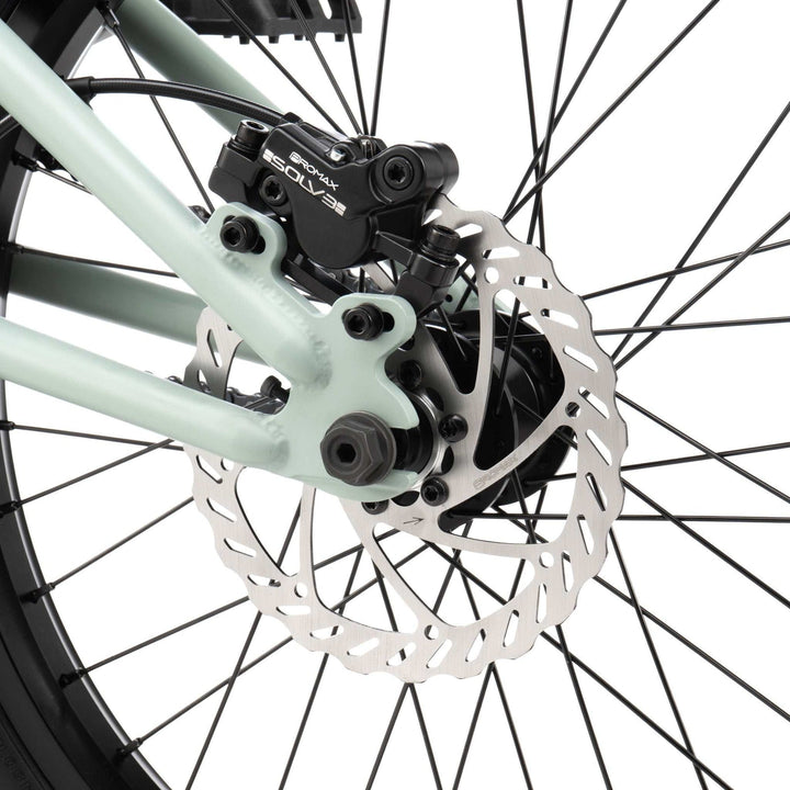 wethepeople 20" Swampmaster Bike