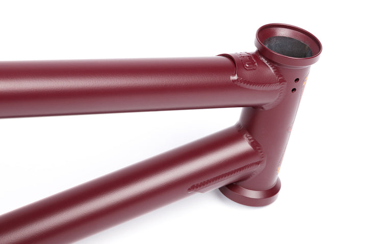 Bsd Focus Frame