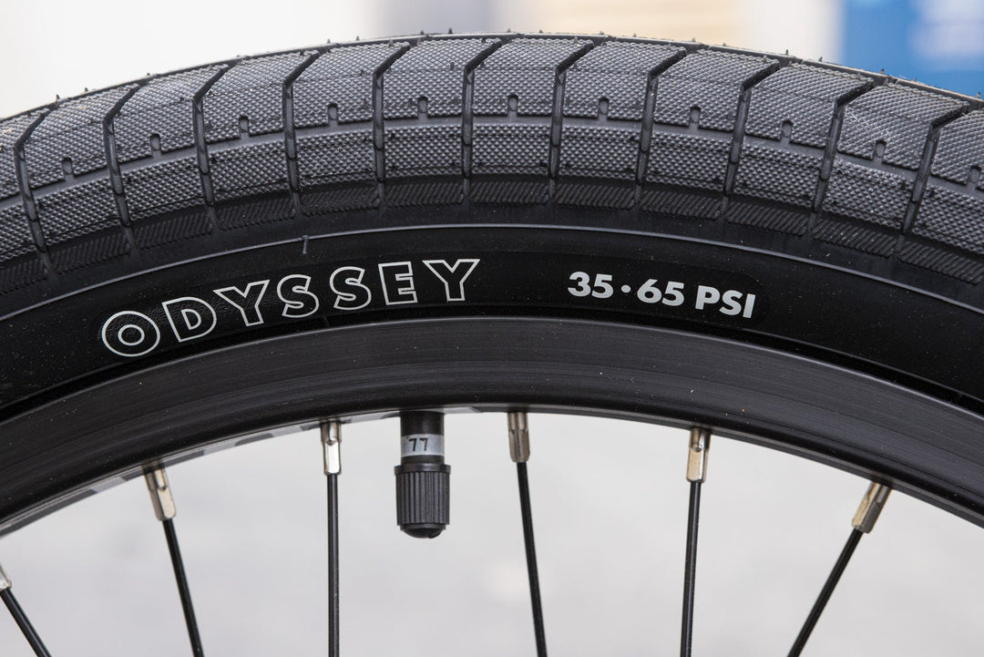 Sunday Forecaster Brett Silva Signature