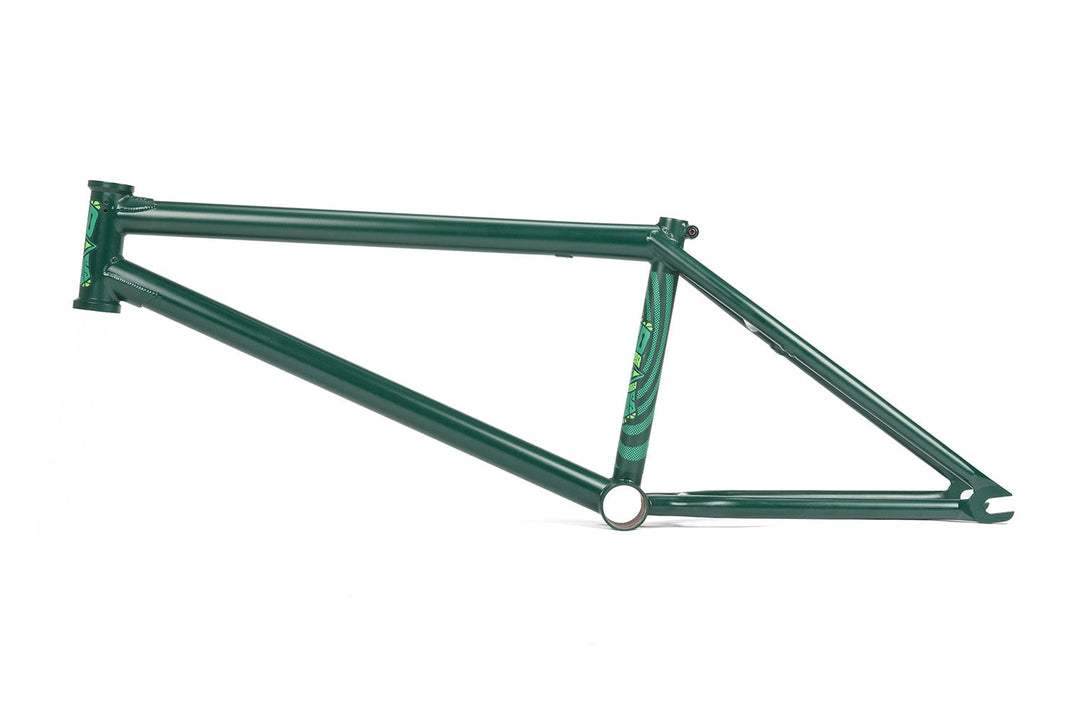 Bsd Focus Frame 2026