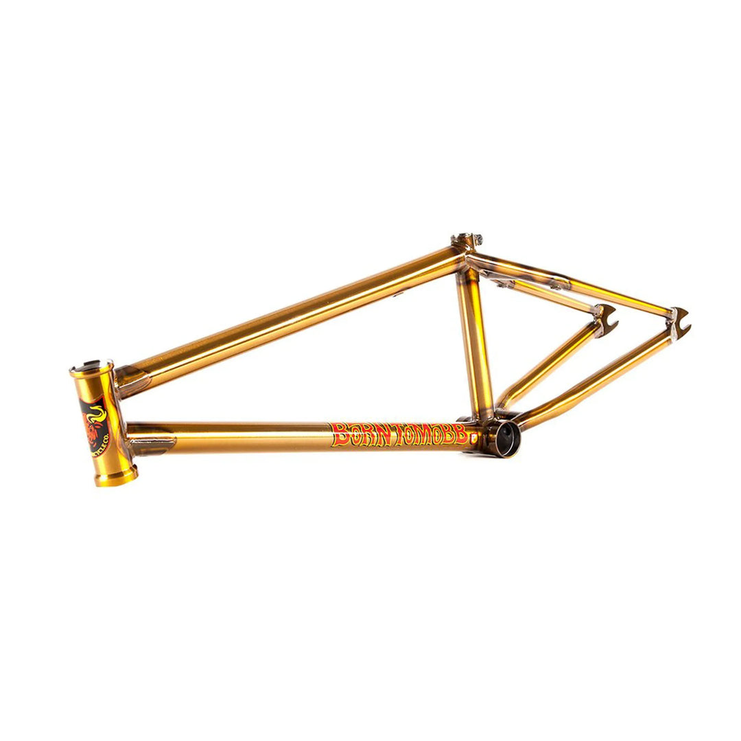 S&M Hoder BTM Frame Trans Gold