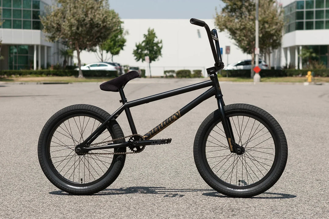 Sunday Forecaster Broc Raiford Signature Black
