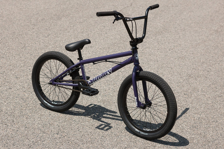 Sunday Forecaster Park Maca Perez Grasset Signature
