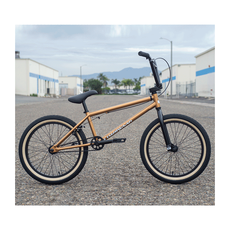 FIT Series One (MD) Root Beer 20.5" TT