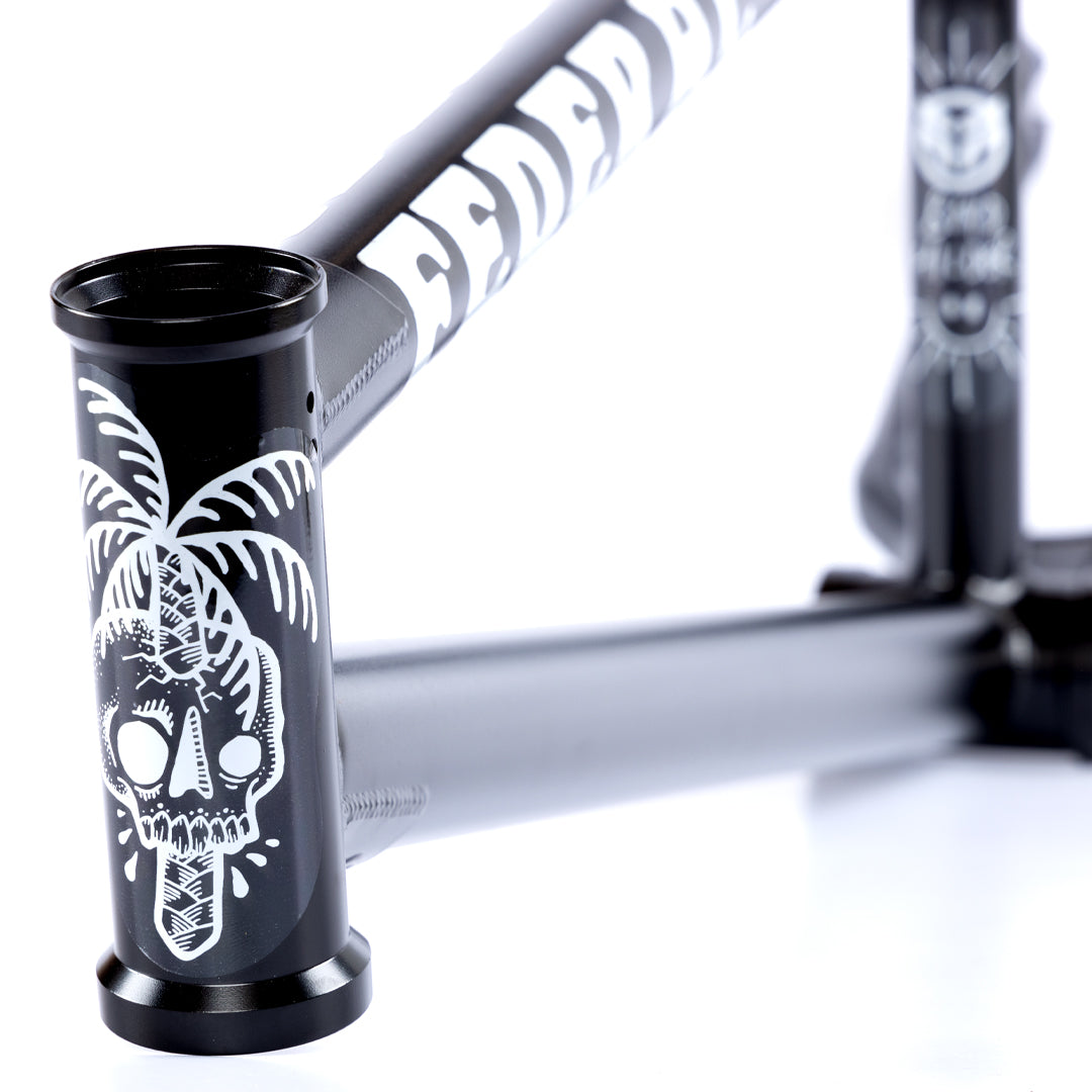 Federal Boyd Hilder ICS2 Frame - Black | BMX