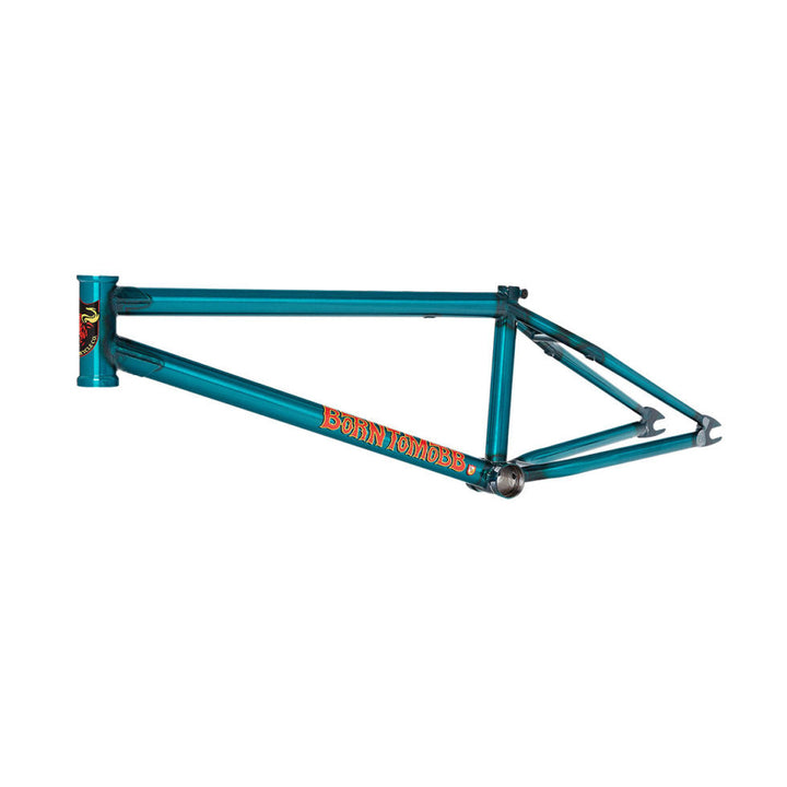 S&M Hoder BTM Frame Trans Teal